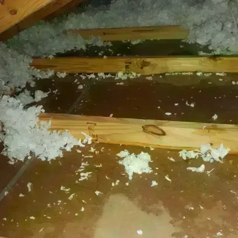 Attic Water Damage in Boone County, NE