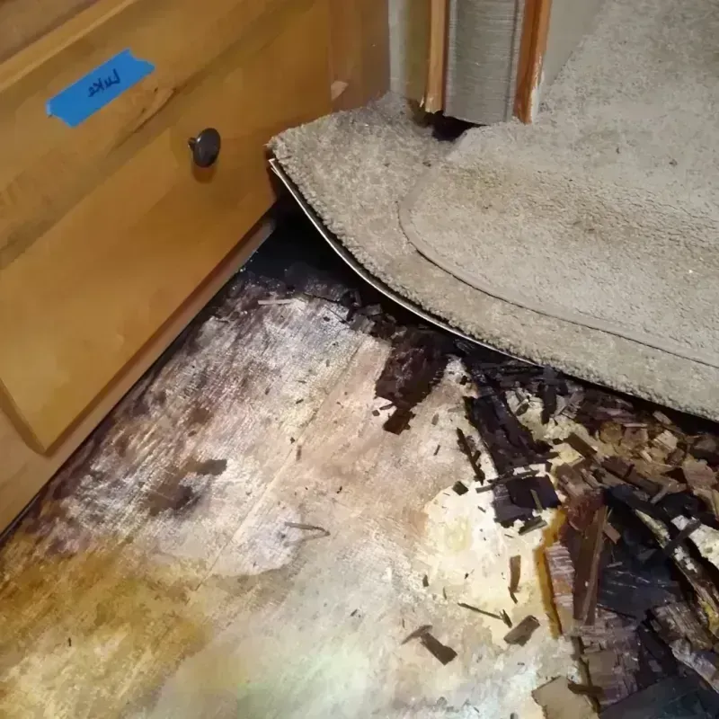 Wood Floor Water Damage in Boone County, NE